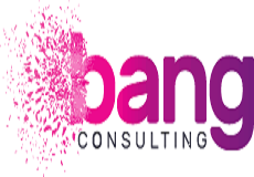 Bang consulting logo - led light project